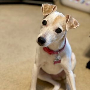 Meet your Posher, Paul